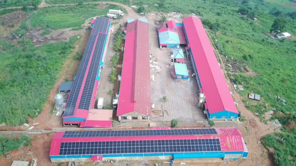 Izzy Poultry farm solar Accra